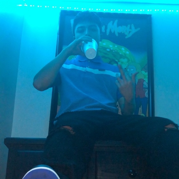 Meet your Posher, Oscar - Picture 1 of 1